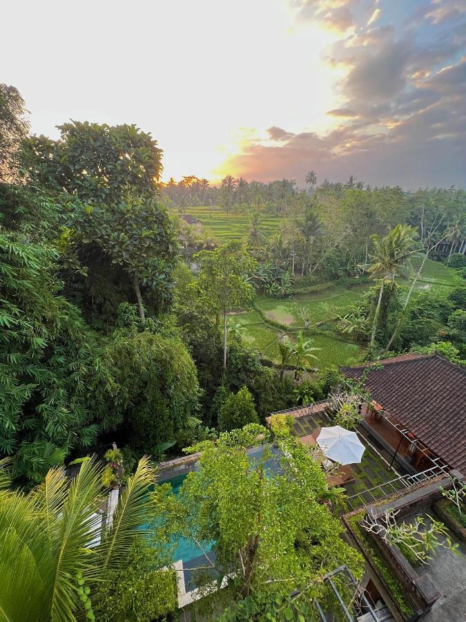 Nata Ubud Екстер'єр фото