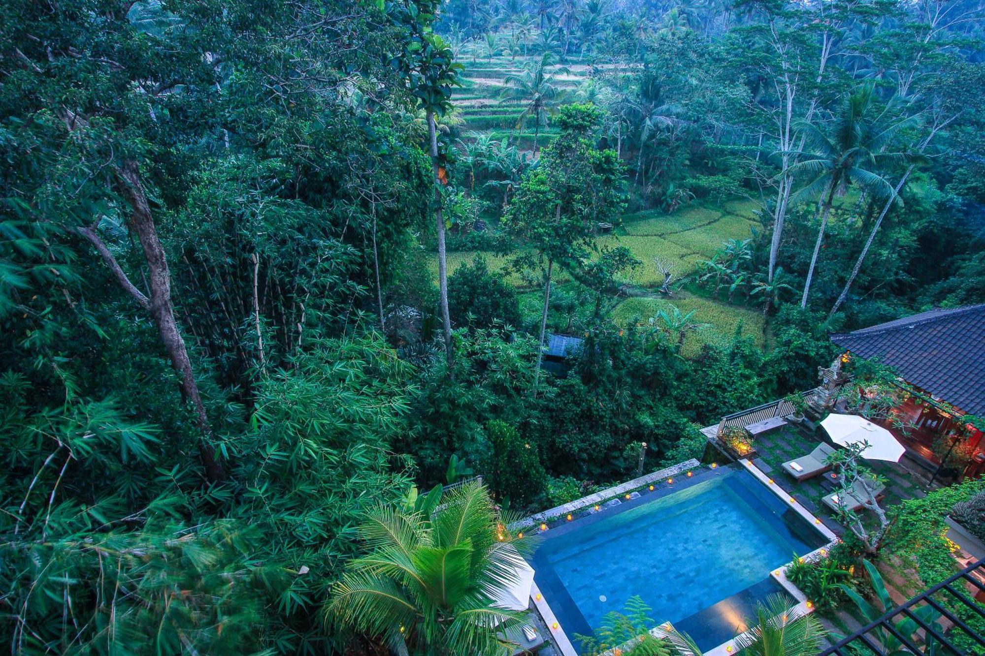 Nata Ubud Екстер'єр фото